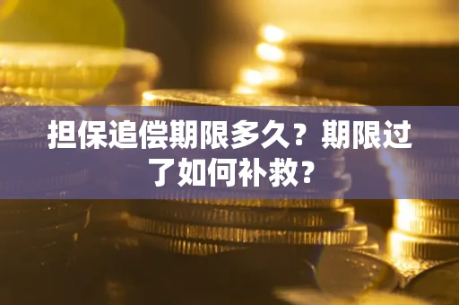 北京担保追偿期限多久？期限过了如何补救？