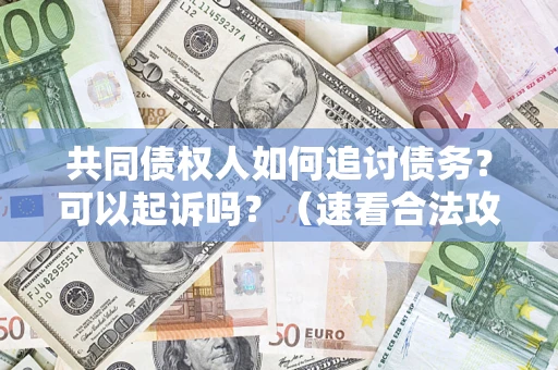 北京共同债权人如何追讨债务？可以起诉吗？（速看合法攻略）